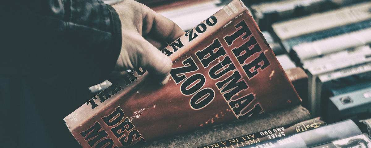 Where Every Page Tells A Story